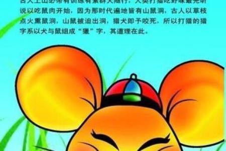 1996年属鼠的男孩和什么属相最配婚姻幸福