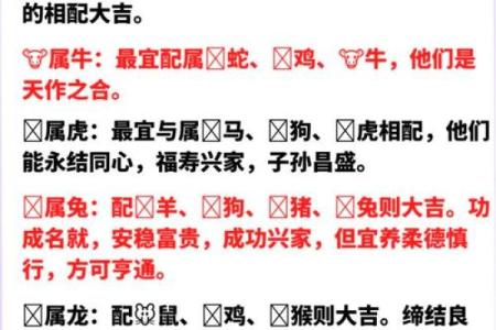 从生肖配对角度分析，属虎和属猴的合作伙伴关系是否融洽？