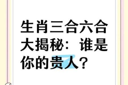 属马和属羊的合作伙伴在事业上合不合，财运怎么样？