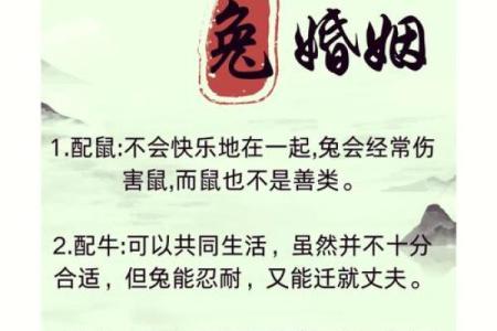 蛇和兔的属相婚配是否真的合适？解析传统说法