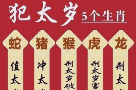 2025年哪些生肖最容易遇到命中注定的正缘对象