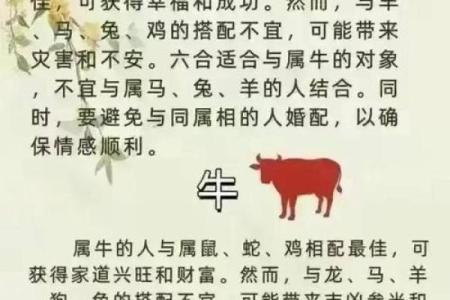 属马和属羊的婚姻配对是否真的合适长久？