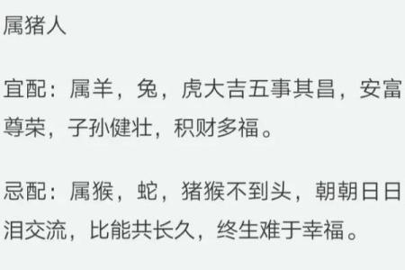 女属猪和哪些属相婚配会存在较大的冲突？