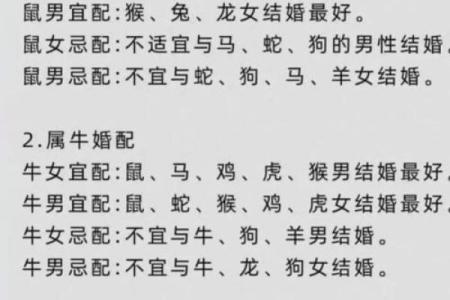 1995年属猪的男生和什么属相最配婚姻会幸福长久