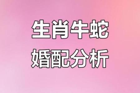 男蛇生肖配对最佳选择是哪几个属相呢