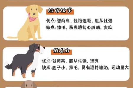 从性格角度分析属狗与属牛的婚配优缺点有哪些？