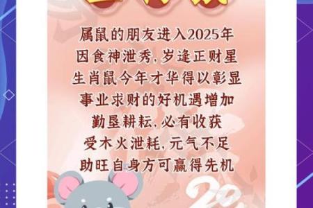 属鼠的人2025年穿什么颜色的衣服能提升运势？