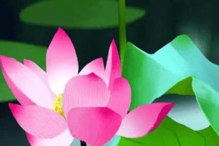 属鸡和属猪的人合作共事是否顺利？财运和事业运势如何？