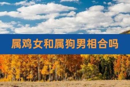 男属鸡女属狗的婚姻配对详解，老一辈说的相克是真的吗？