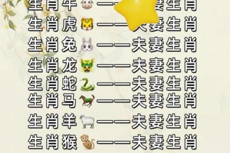 十二生肖属相婚配表查询，哪些属相最相配？