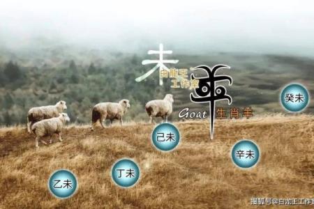 属兔和属羊的人在事业合作上能否互补优缺点？