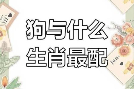 属狗女的婚姻配对最佳选择是哪些生肖的男人呢