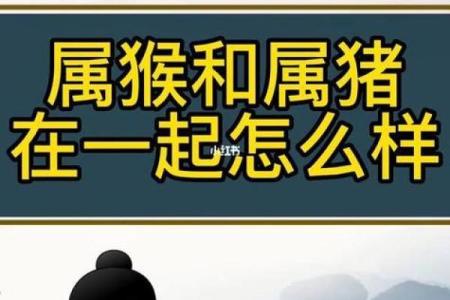 1992年属猴和1995年属猪结婚真的会相克吗？有什么说法