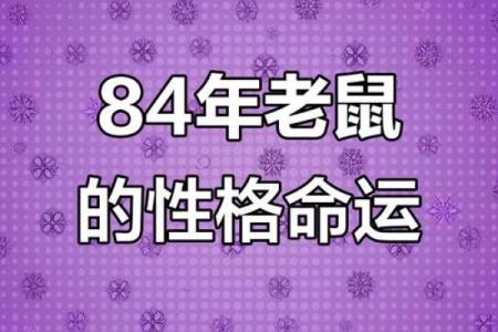 1984年出生属鼠2025年事业财运和健康需要注意什么