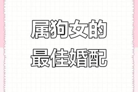 属狗的女性与哪些生肖婚配最为幸福长久