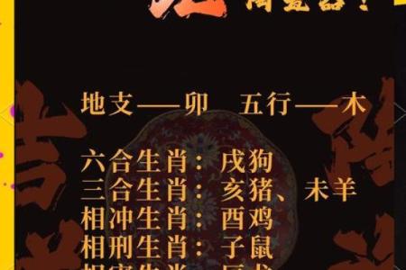 属兔的人婚姻配对最佳选择是哪个生肖属相最合适
