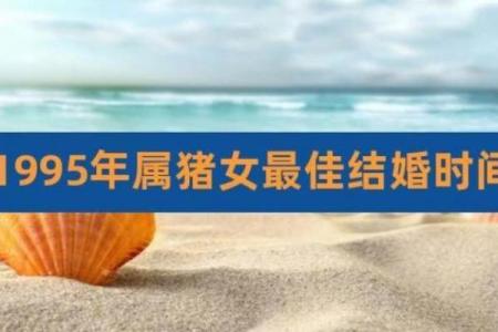属猪的人和什么属相结婚最幸福长久美满