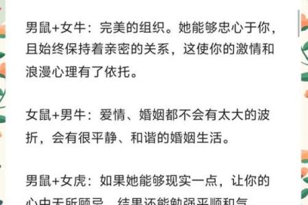 1996年出生的属鼠人，和什么属相结婚会相冲相克？