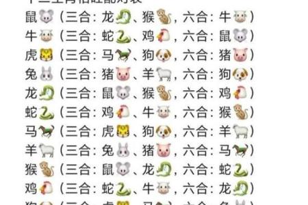 女羊和什么属相结婚最幸福长久，属相配对详解