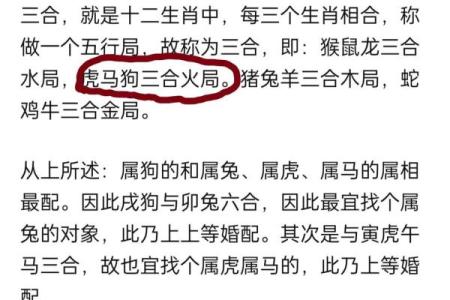 1994年属狗的人找对象和什么生肖最配，婚姻能长久吗
