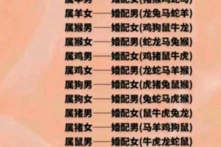 鸡和猪的属相婚配如何？是否适合做夫妻或情侣？