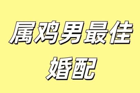 属鸡的男生和什么属相结婚最幸福长久