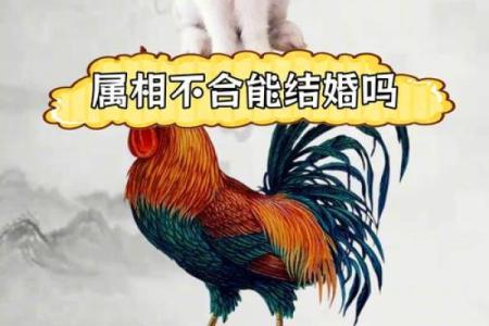 81年属鸡人后半生婚姻运势如何，会有二婚或真爱出现吗