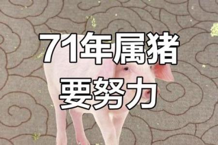 1971年出生的属猪人和什么属相最配，能幸福长久