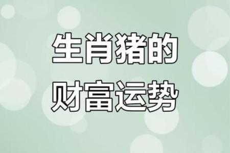 属猪的和什么属相一起投资能财运互补提升收益