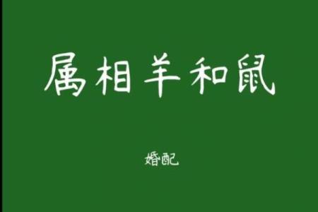 从生肖性格角度分析，属鼠和属羊的人在事业上合作是否合适？