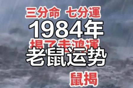 1984年出生的属鼠女性2025年运势详解，婚姻和财运怎么样