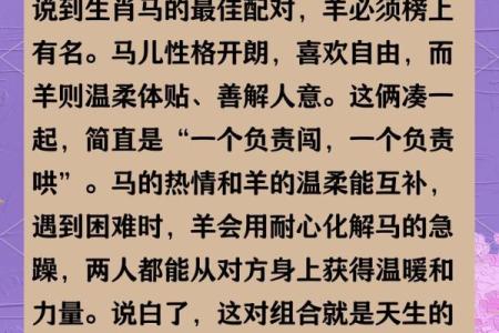 属马的人最佳婚配属相是哪些，与属羊和属虎的配对指数高吗？