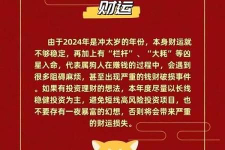1982年属狗女2025年运势详解，事业财运健康全面解析