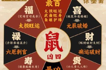 1984年属鼠男性2025年全年运势详解及每月运程完整版