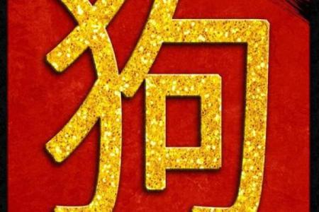 牛男婚姻配对哪个属相最和谐幸福长久