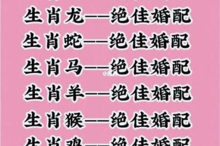 属狗的最佳婚配属相是哪些生肖组合能够长久和睦相处