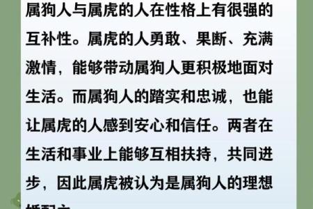 从生肖配对角度解析，属狗的最佳伴侣生肖是哪一个