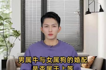 属牛女的最佳婚配生肖有哪些以及具体配对优势解析