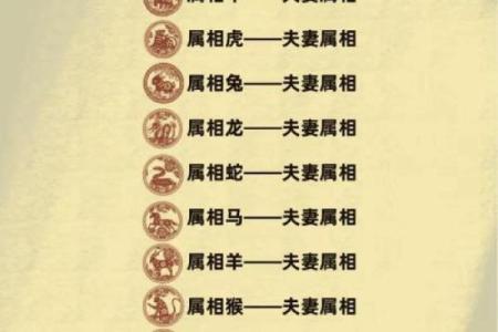 女龙男蛇年龄差一岁结婚会幸福吗，性格合得来吗？