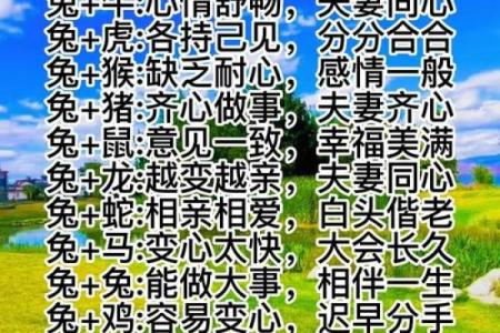 男兔女猴婚姻相配吗？从生肖配对角度分析优缺点