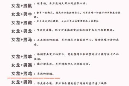 男猪女龙婚姻配对是否真的会相克最终结局如何