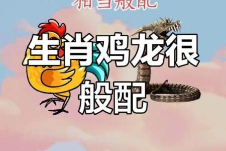 1993年出生的属鸡者婚配生肖选择指南与得把眼睛擦亮了