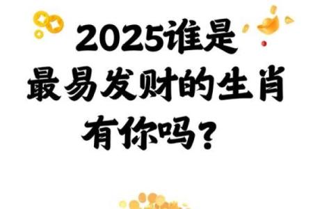 2025年属鼠男性财运如何提升，有什么开运方法
