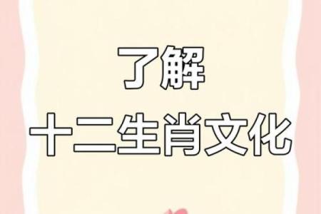 从传统文化角度解析年老色衰代表什么生肖的深层含义
