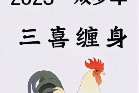 属鸡人2025年感情运势如何，如何有效避开烂桃花劫？