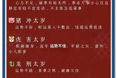 2025年属鼠人如何化解太岁带来的事业和健康危机