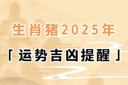 属猪人2025年感情运势如何，会不会遇到正缘或结婚机会？