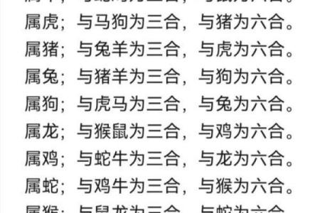 属狗的和什么属相最配？详细解析属狗人的最佳婚配组合