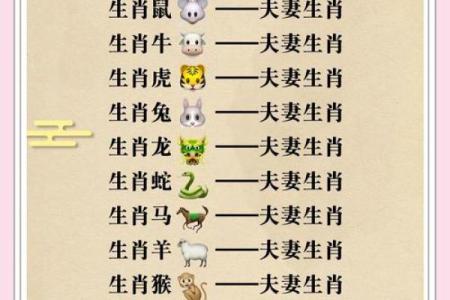 属猴的人和属猪的人结婚后会幸福吗？有哪些需要注意的？
