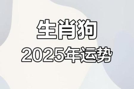 1970年出生的生肖狗在2025年整体运程如何？财运方面需要注意什么？